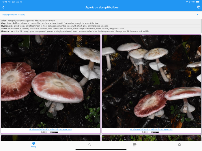 Fungi Booklet