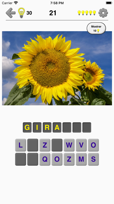 Flores: identifica las plantas