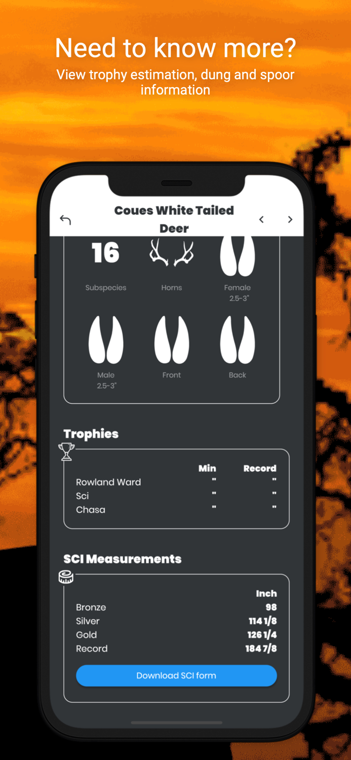 International Hunters