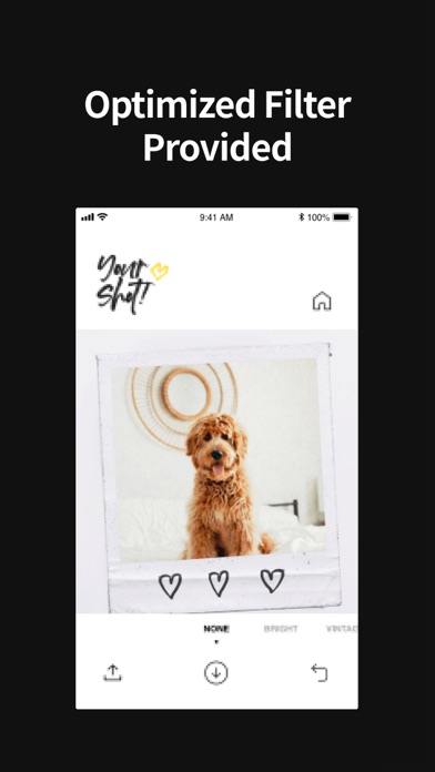 Low Polar - Instant Photo Screenshot