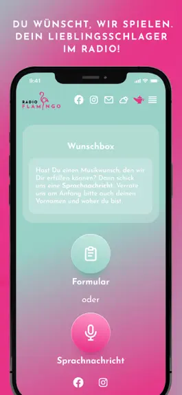 Game screenshot Radio Flamingo hack