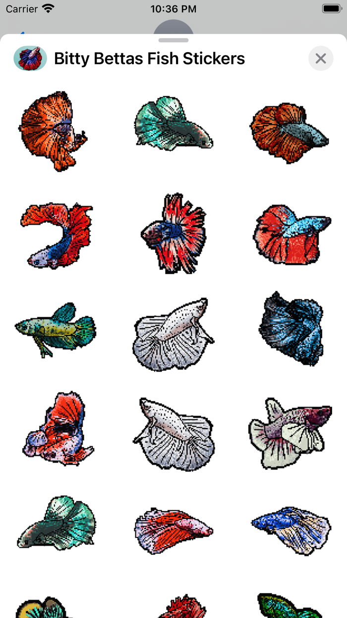 Bitty Bettas Fish Stickers