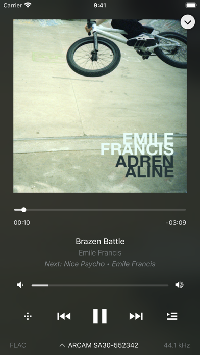 MusicLife Screenshot