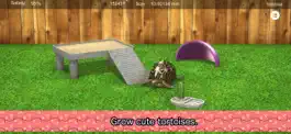 Game screenshot Tortoise to grow relaxedly mod apk