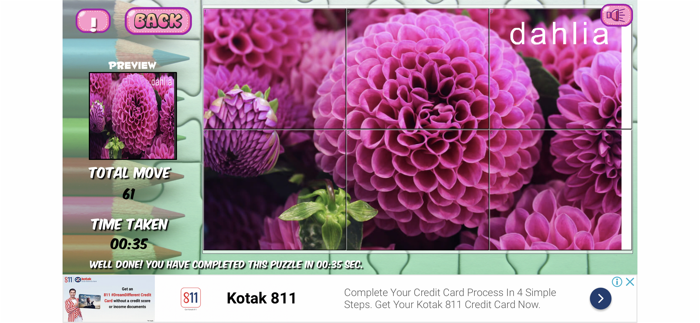 Slide and Jigsaw Puzzles