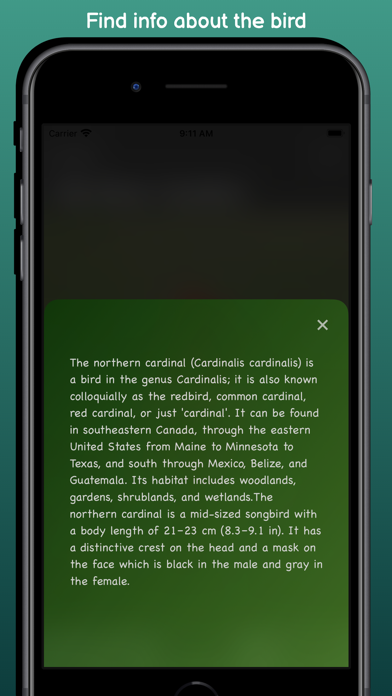 Bird Sounds - Pure Nature Screenshot