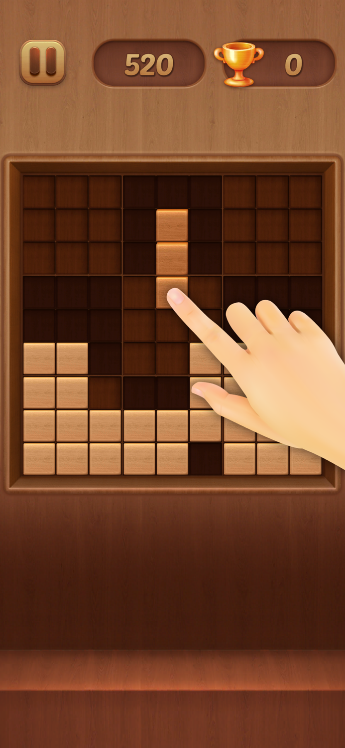 Block Puzzle Wood Sudoku Style