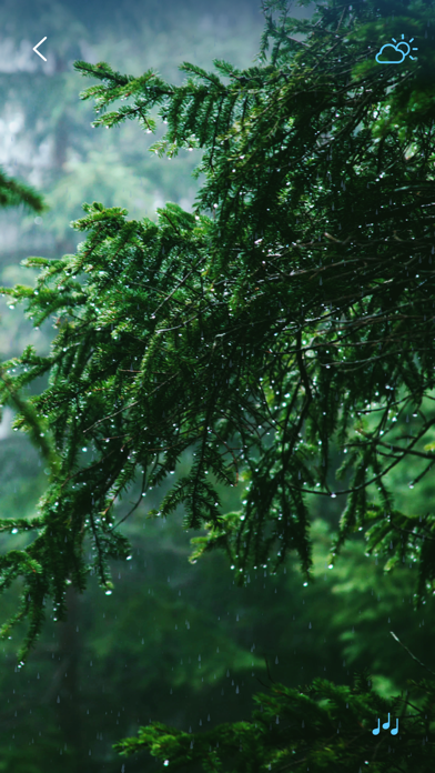 Rain Sounds - Sleep Sounds Screenshot