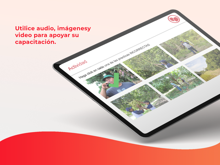 MangoContaminación cruzadaH