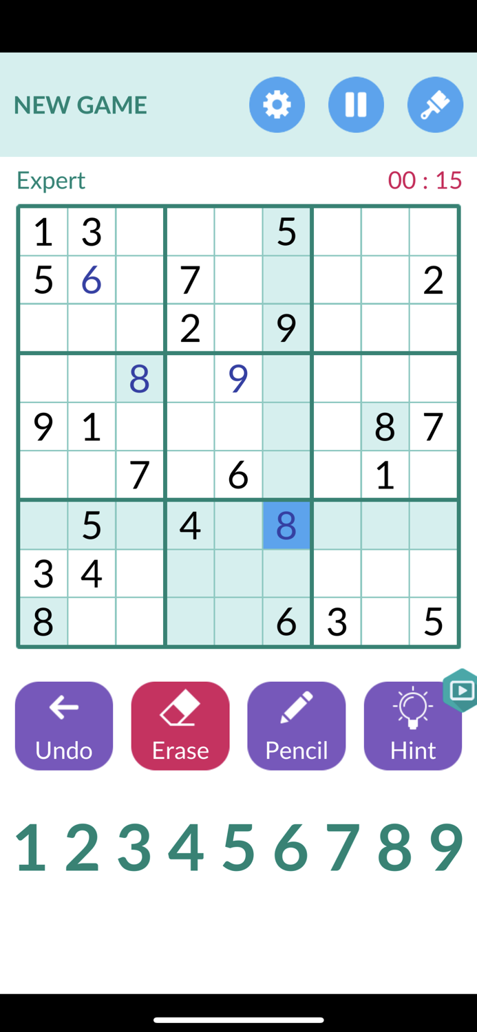 Sudoku  Puzzle Sudoku