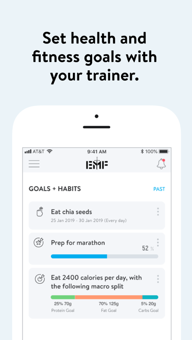 EMF Coach Screenshot