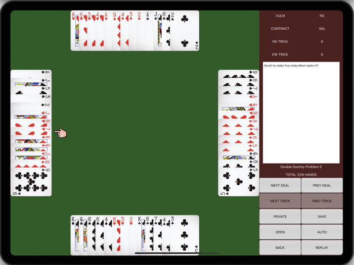 Double dummy problems