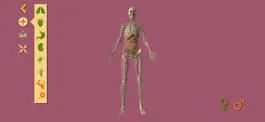 Game screenshot Arloon Anatomy AR mod apk