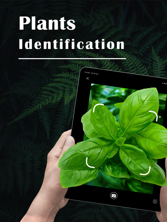 PlantZ - Plant Identificationのおすすめ画像1