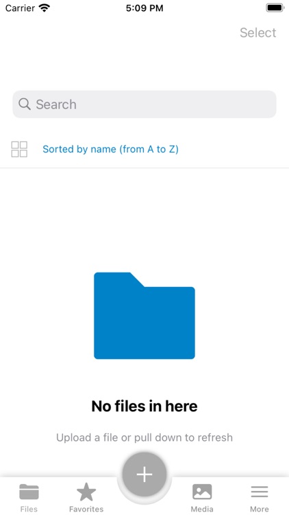 Saimon Campos Fotografia