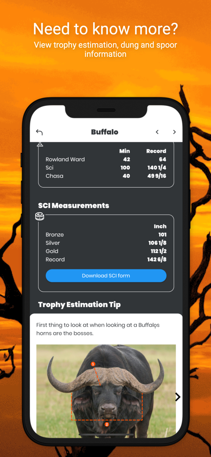 International Hunters