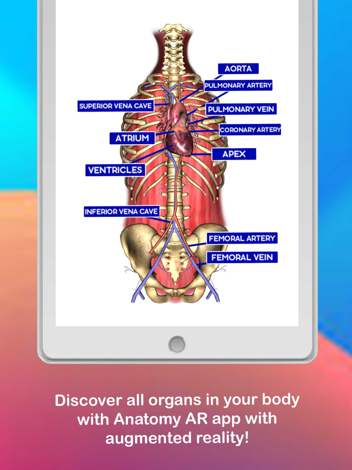 Anatomy AR 4D -Virtual T-Shirt