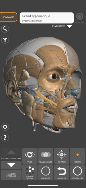 ‎Anatomie 3D pour l'Artiste Capture d'écran