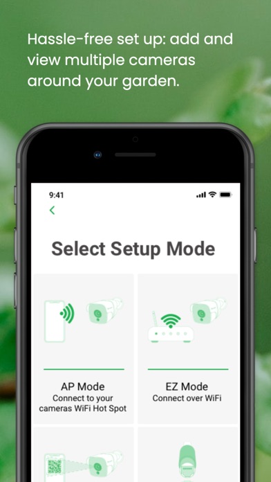 Green Feathers Screenshot