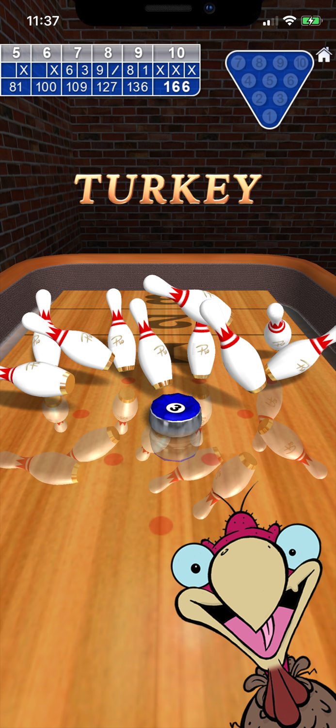 10 Pin Shuffle Pro Bowling