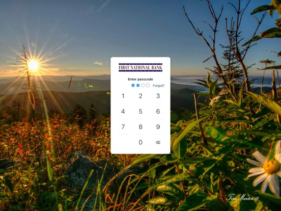 YOURFNB iPad screenshot 2 - Finance app