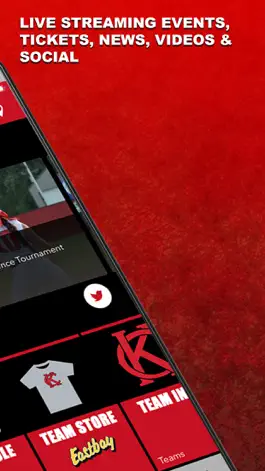 Game screenshot Keys Cougars apk