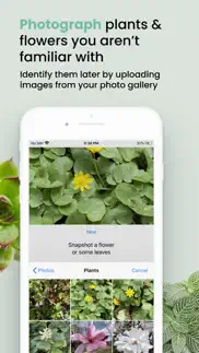 plant id match: identification iphone screenshot 3