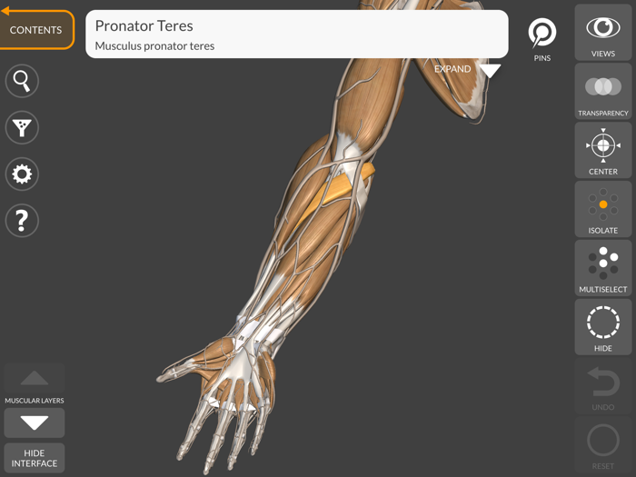 3D Anatomy for the Artist