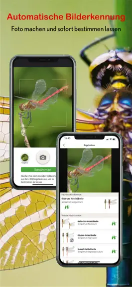 Game screenshot Libellen Id Europa apk