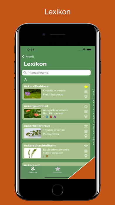 Screenshot #3 pour Heilpflanzen Lexikon