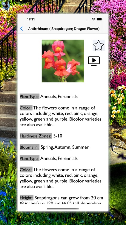 Flowers Dictionary with Images