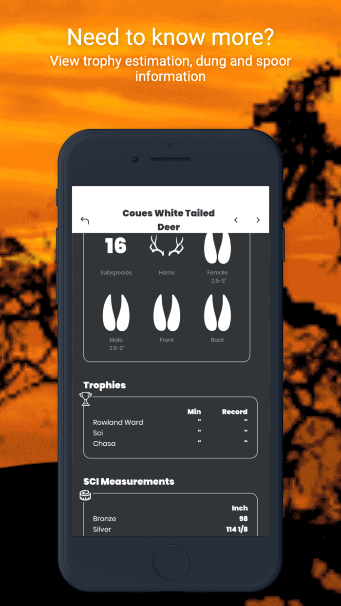 International Hunters