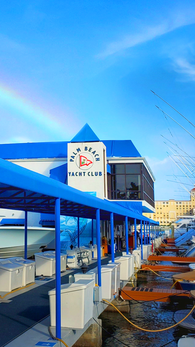 Palm Beach Yacht Club Screenshot