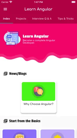 Game screenshot Learn Angular Offline [PRO] mod apk