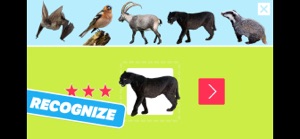 Animal Sounds, Photos and Info screenshot #4 for iPhone