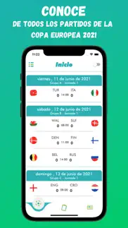 copa europea - 2020 en 2021 iphone screenshot 1