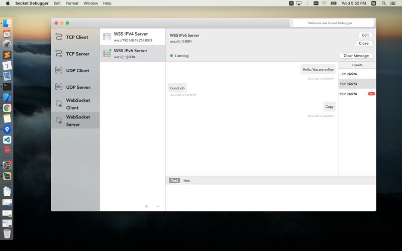 Screenshot #3 pour Socket Debugger