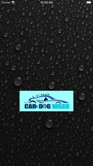 8th South Car and Dog Wash Screenshot