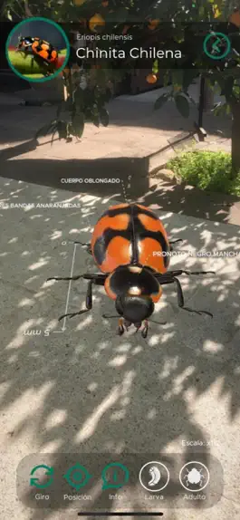Game screenshot Insectarium Afipa AR apk