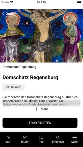 Game screenshot Domschatz Regensburg English hack