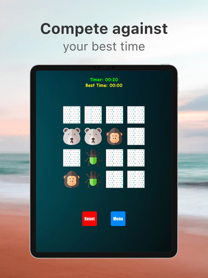 Memory Match Brain Exerciser