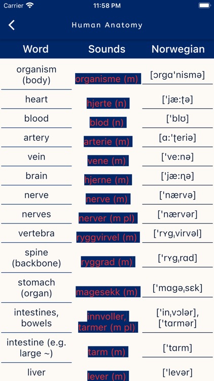 Learn Norwegian From English screenshot-4