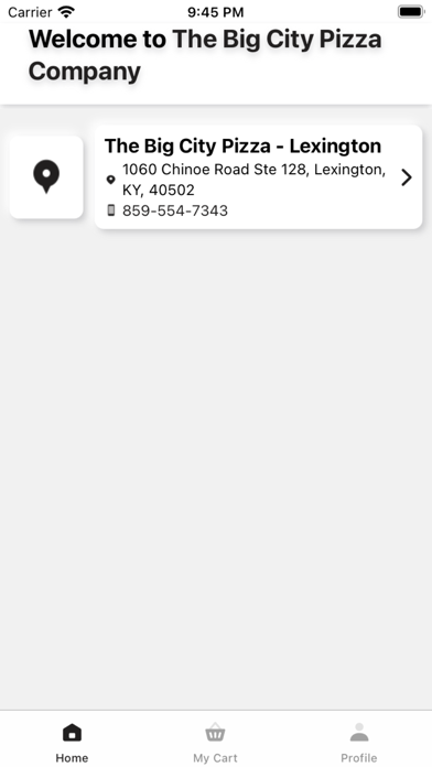 The Big City Pizza Company Screenshot