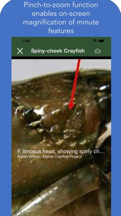 Maine Aquatic Phenomena screenshot-6