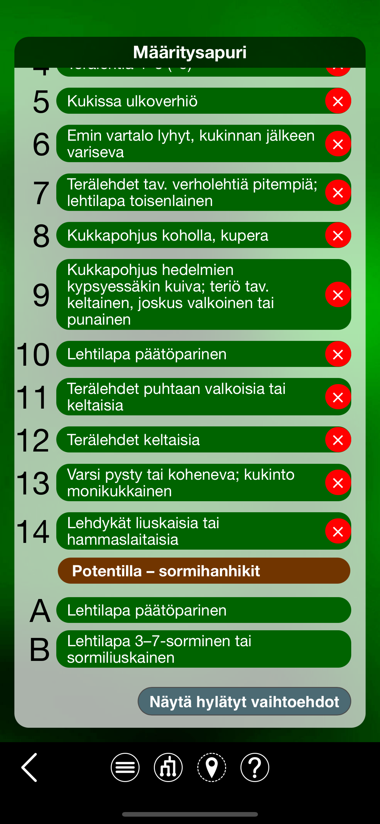 Retkikasvio