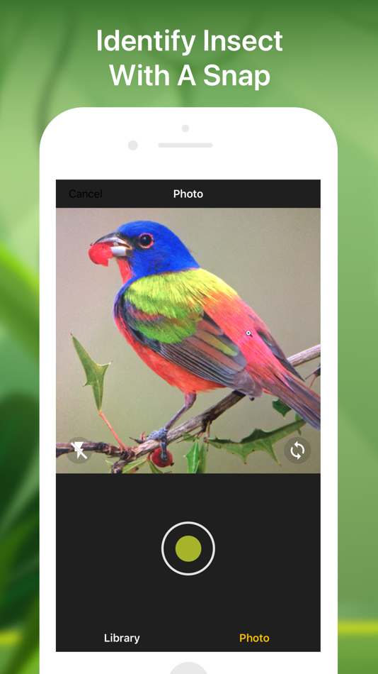 #2. Bird identifier Bird Finder (iOS) 由: Lan Duyen Vu