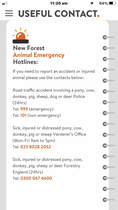 New Forest Hub Screenshot