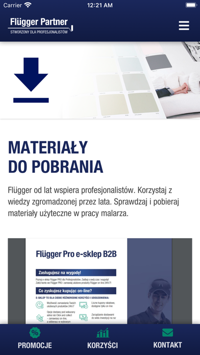 Flügger Partner Screenshot