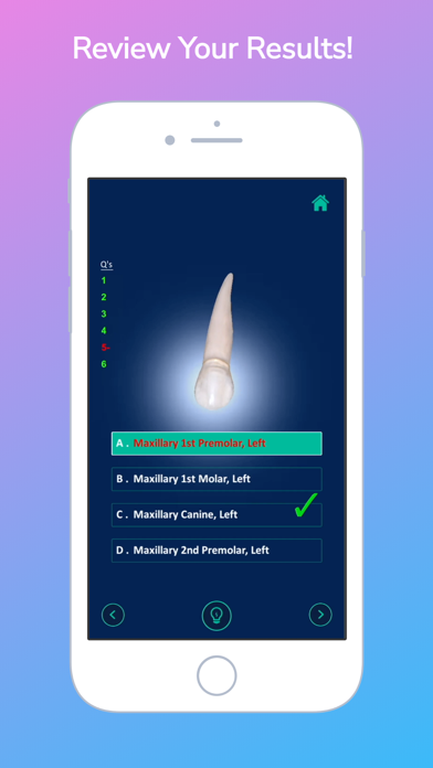 i-DENTify: Dental Anatomy Screenshot