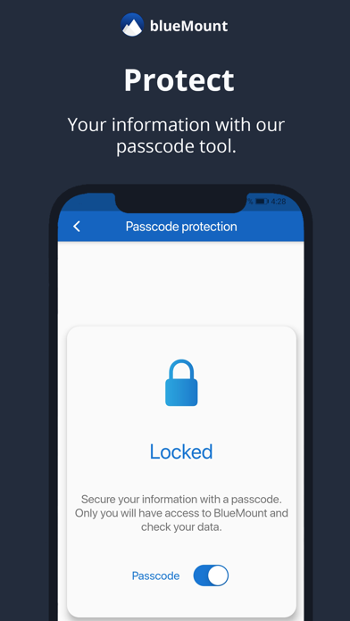 BlueMount - Money manager Screenshot